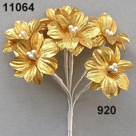 Brokat-Sternblüte