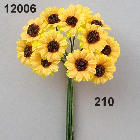 Sunflower mini mini