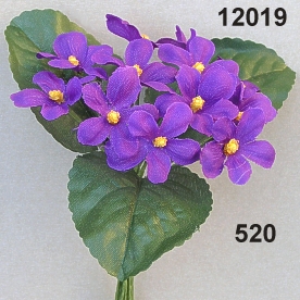 Mazzo di viola con 3 foglie