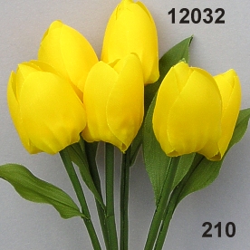 Tulpe mit Blatt