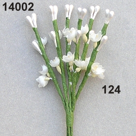Blüten-Perl-Rispe x6