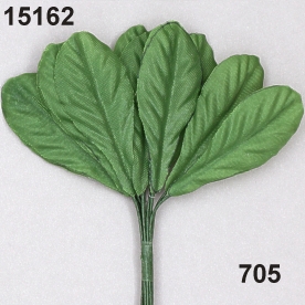 Daisy-leaf
