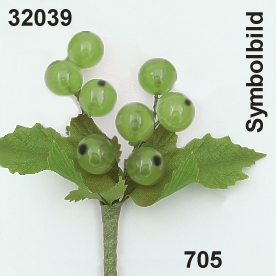 Stachelbeeren-Pick x8