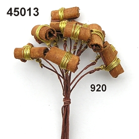 Mini-Cinnamon on wire