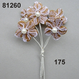 Lace-flower on stem
